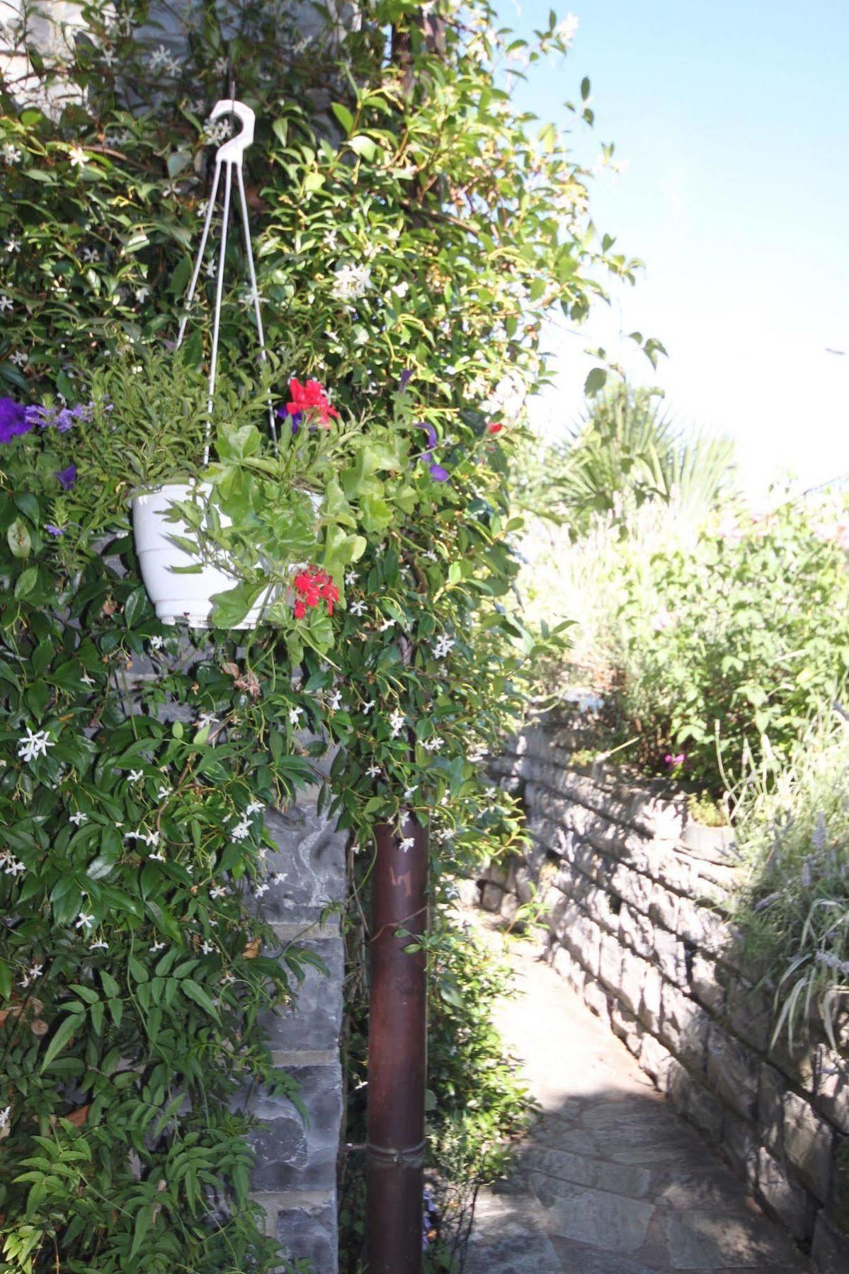 Bed and Breakfast Balcone Fiorito à Menaggio Extérieur photo